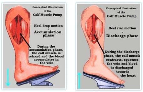 Rehamoto ankle joint control overview